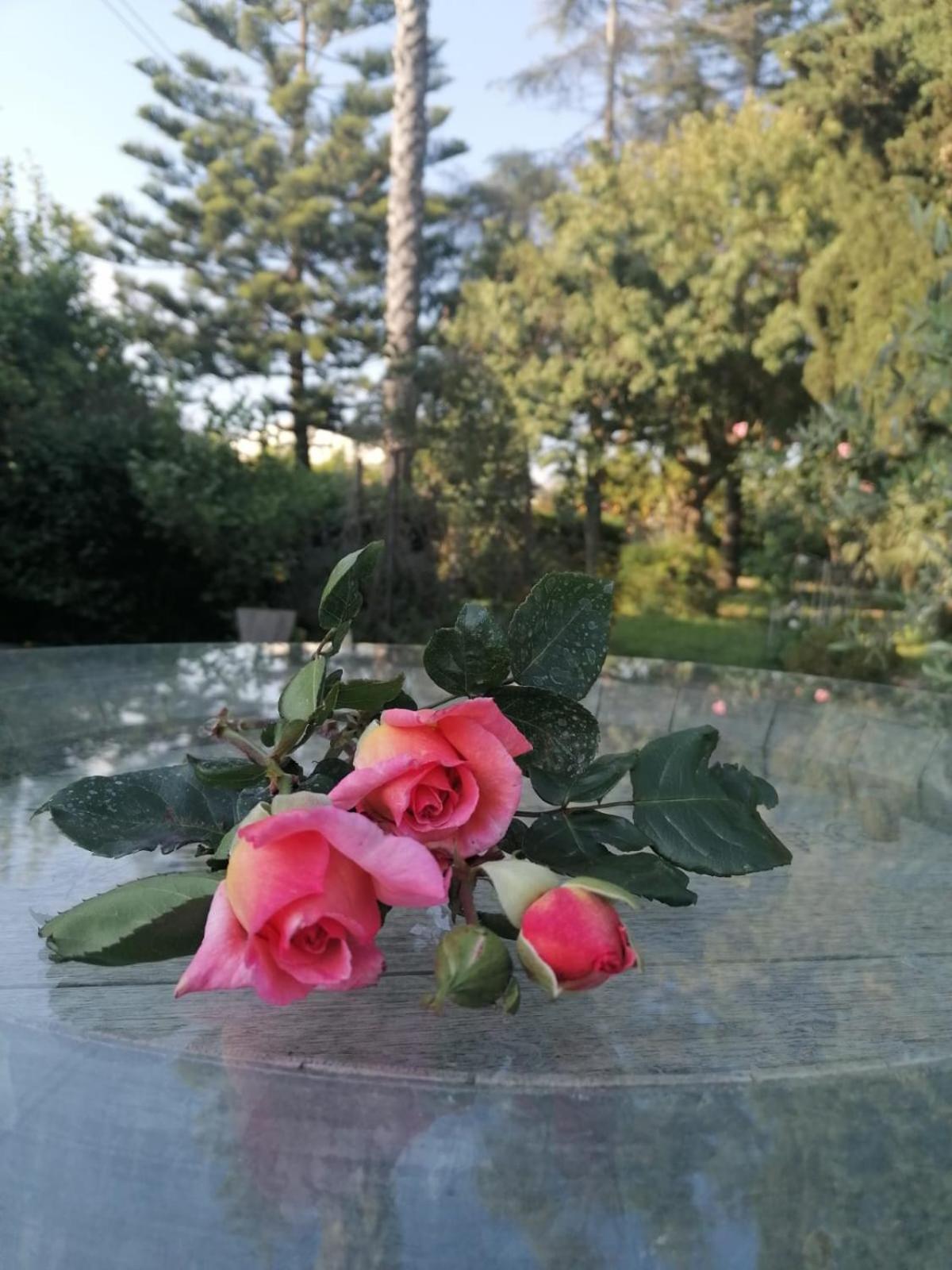 Voscenza Benerica Villa Vittoria Dış mekan fotoğraf